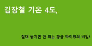 김장철 기온 4도, 절대 놓치면 안 되는 황금 타이밍의 비밀!