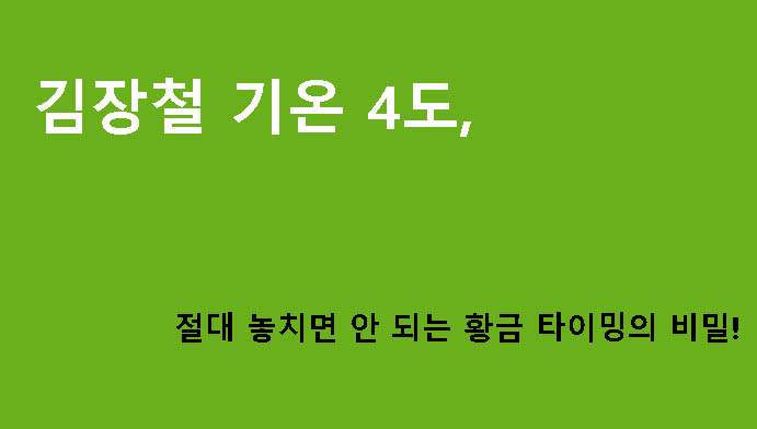 김장철 기온 4도, 절대 놓치면 안 되는 황금 타이밍의 비밀!