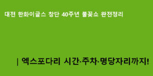 대전 한화이글스 창단 40주년 불꽃쇼 완전정리｜엑스포다리 시간·주차·명당자리까지!