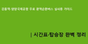 강릉역-양양국제공항 무료 광역순환버스 실사용 가이드｜시간표·탑승장 완벽 정리