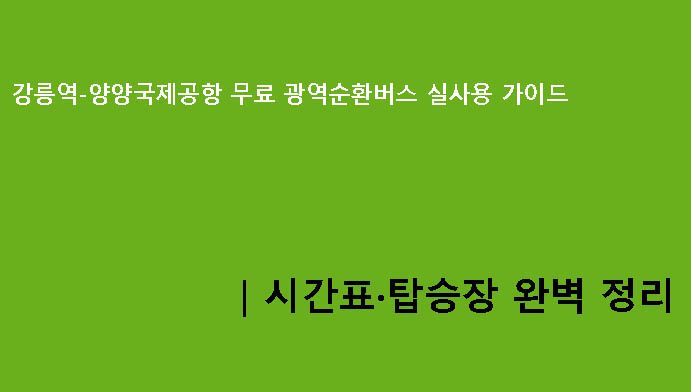 강릉역-양양국제공항 무료 광역순환버스 실사용 가이드｜시간표·탑승장 완벽 정리