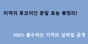 미역귀 후코이단 분말 효능 총정리! 100% 흡수하는 기적의 섭취법 공개