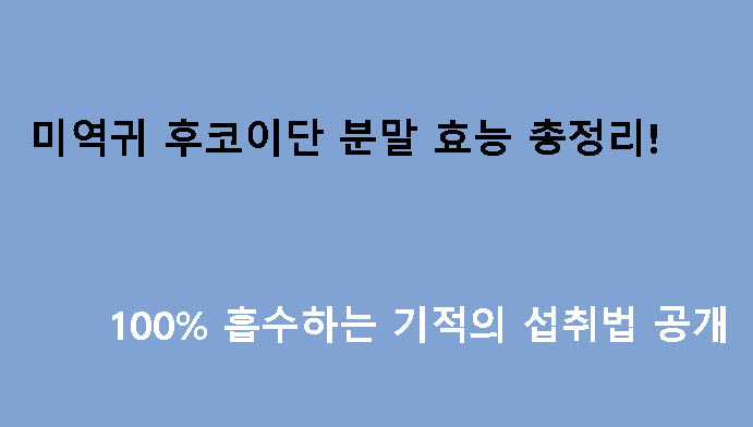 미역귀 후코이단 분말 효능 총정리! 100% 흡수하는 기적의 섭취법 공개