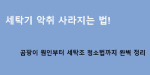 세탁기 악취 사라지는 법! 곰팡이 원인부터 세탁조 청소법까지 완벽 정리