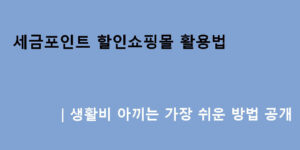세금포인트 할인쇼핑몰 활용법｜생활비 아끼는 가장 쉬운 방법 공개
