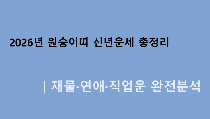 2026년 원숭이띠 신년운세 총정리｜재물·연애·직업운 완전분석