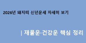 2026년 돼지띠 신년운세 자세히 보기｜재물운·건강운 핵심 정리