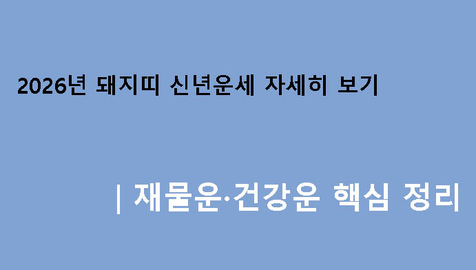 2026년 돼지띠 신년운세 자세히 보기|재물운·건강운 핵심 정리
