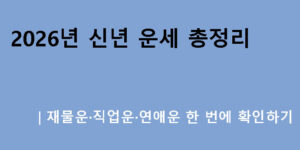 2026년 신년 운세 총정리｜재물운·직업운·연애운 한 번에 확인하기