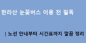 한라산 눈꽃버스 이용 전 필독｜노선 안내부터 시간표까지 깔끔 정리