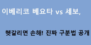 이베리코 베요타 vs 세보, 헷갈리면 손해! 진짜 구분법 공개