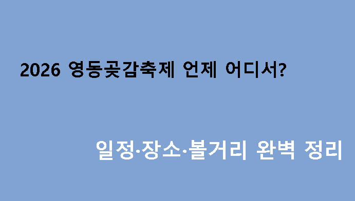 2026 영동곶감축제 언제 어디서? 일정·장소·볼거리 완벽 정리