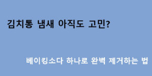 김치통 냄새 아직도 고민? 베이킹소다 하나로 완벽 제거하는 법