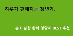 하루가 편해지는 갱년기 홍조·발한 완화 영양제 BEST 추천