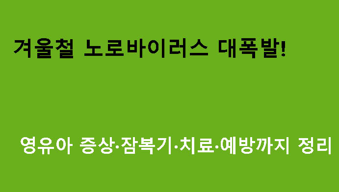 겨울철 노로바이러스 대폭발! 영유아 증상·잠복기·치료·예방까지 정리