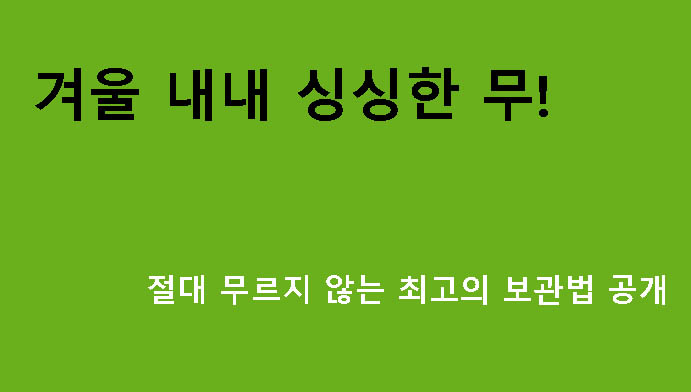 겨울 내내 싱싱한 무! 절대 무르지 않는 최고의 보관법 공개