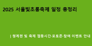 2025 서울빛초롱축제 일정 총정리｜청계천 빛 축제 점등시간·포토존·참여 이벤트 안내