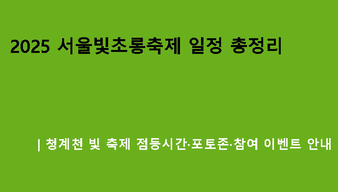 2025 서울빛초롱축제 일정 총정리｜청계천 빛 축제 점등시간·포토존·참여 이벤트 안내