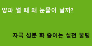 양파 썰 때 왜 눈물이 날까? 자극 성분 확 줄이는 실전 꿀팁