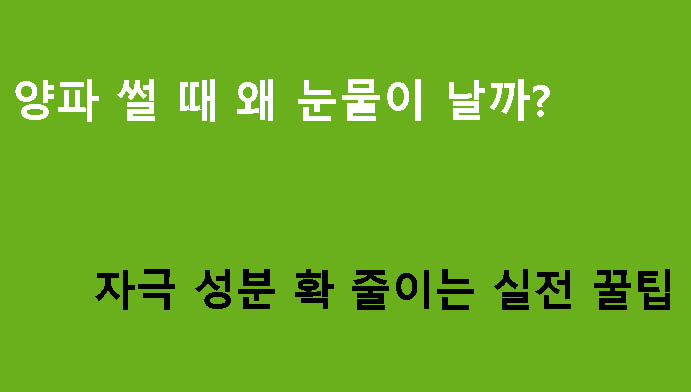 양파 썰 때 왜 눈물이 날까? 자극 성분 확 줄이는 실전 꿀팁