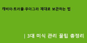 캐비아·트러플·푸아그라 제대로 보관하는 법｜3대 미식 관리 꿀팁 총정리