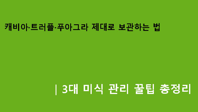 캐비아·트러플·푸아그라 제대로 보관하는 법|3대 미식 관리 꿀팁 총정리