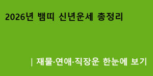 2026년 뱀띠 신년운세 총정리｜재물·연애·직장운 한눈에 보기