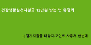 건강생활실천지원금 12만원 받는 법 총정리｜걷기지원금 대상자·포인트 사용처 한눈에