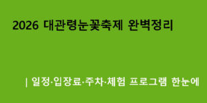 2026 대관령눈꽃축제 완벽정리｜일정·입장료·주차·체험 프로그램 한눈에
