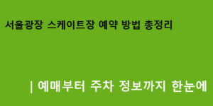 서울광장 스케이트장 예약 방법 총정리｜예매부터 주차 정보까지 한눈에