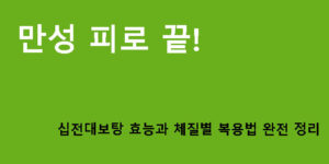 만성 피로 끝! 십전대보탕 효능과 체질별 복용법 완전 정리
