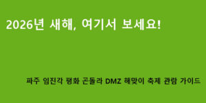 2026년 새해, 여기서 보세요! 파주 임진각 평화 곤돌라 DMZ 해맞이 축제 관람 가이드