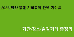 2026 영양 꽁꽁 겨울축제 완벽 가이드｜기간·장소·즐길거리 총정리