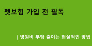 펫보험 가입 전 필독｜병원비 부담 줄이는 현실적인 방법
