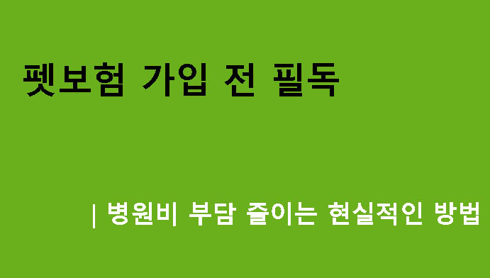펫보험 가입 전 필독|병원비 부담 줄이는 현실적인 방법