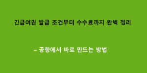 긴급여권 발급 조건부터 수수료까지 완벽 정리 – 공항에서 바로 만드는 방법