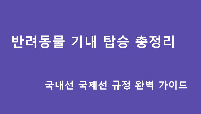 반려동물 기내 탑승 총정리 국내선 국제선 규정 완벽 가이드