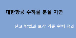 대한항공 수하물 분실 지연 신고 방법과 보상 기준 완벽 정리