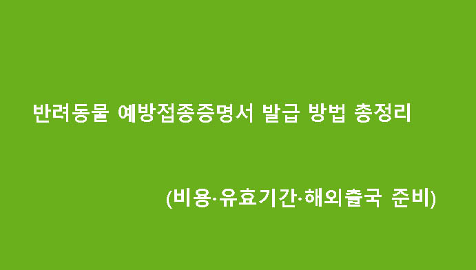 반려동물 예방접종증명서 발급 방법 총정리 (비용·유효기간·해외출국 준비)