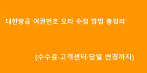 대한항공 여권번호 오타 수정 방법 총정리 (수수료·고객센터·당일 변경까지)