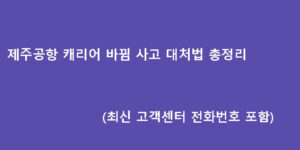 제주공항 캐리어 바뀜 사고 대처법 총정리 (최신 고객센터 전화번호 포함)