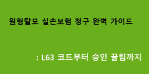 원형탈모 실손보험 청구 완벽 가이드: L63 코드부터 승인 꿀팁까지