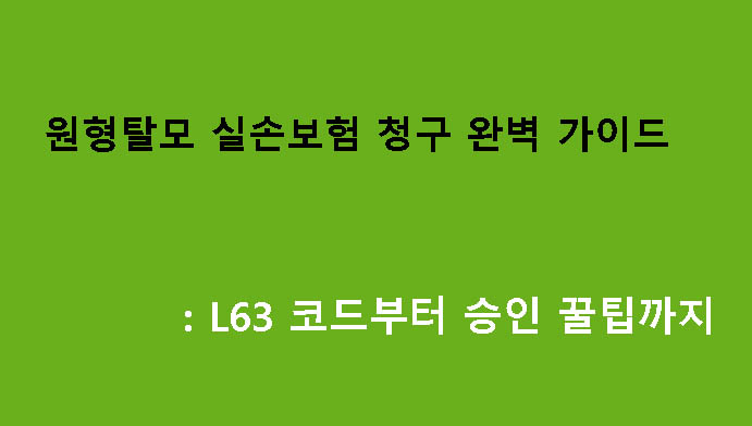 원형탈모 실손보험 청구 완벽 가이드: L63 코드부터 승인 꿀팁까지