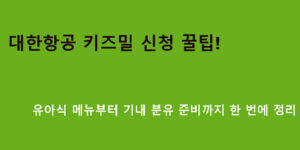 대한항공 키즈밀 신청 꿀팁｜유아식 메뉴부터 기내 분유 준비까지 한 번에 정리