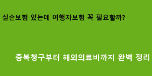 실손보험 있는데 여행자보험 꼭 필요할까? 중복청구부터 해외의료비까지 완벽 정리
