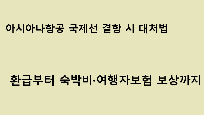 아시아나항공 국제선 결항 시 대처법|환급부터 숙박비·여행자보험 보상까지