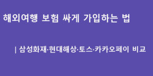 해외여행 보험 싸게 가입하는 법｜삼성화재·현대해상·토스·카카오페이 비교