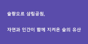 슬랑오르 삼림공원, 자연과 인간이 함께 지켜온 숲의 유산