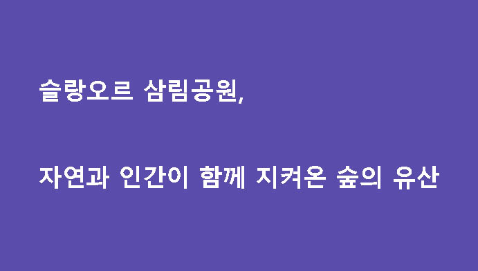 슬랑오르 삼림공원, 자연과 인간이 함께 지켜온 숲의 유산