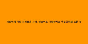세상에서 가장 신비로운 사막, 렌소이스 마라냥시스 국립공원의 모든 것